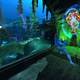 Illustration for article titled Champions Online Reveals The Underwater World Of Lemuria